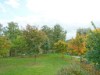 Billede 20