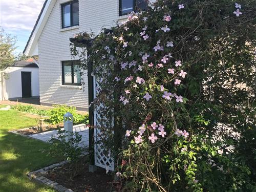 Ferieleilighet - 4 personer -  - Hinrichshagen - 17498