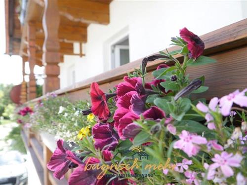 Sommerhus - 4 personer -  - 83257 - Gstadt