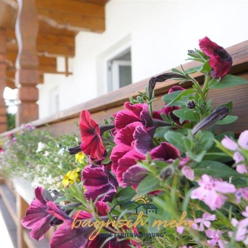 Sommerhus - 4 personer -  - 83257 - Gstadt