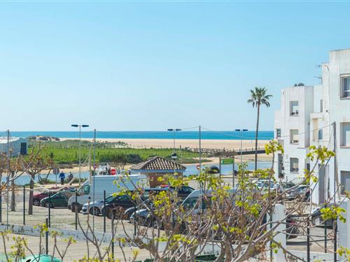Holiday apartment - 4 persons -  - C/Agustin El Perla - 11140 - Conil De La Frontera