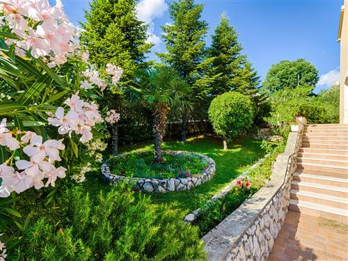 Ferielejlighed - 2 personer -  - Crikvenica/Dramalj - 51265