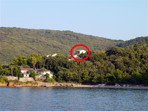 Ferieleilighet - 2 personer -  - Valun 72, Valun - 51557 - Cres