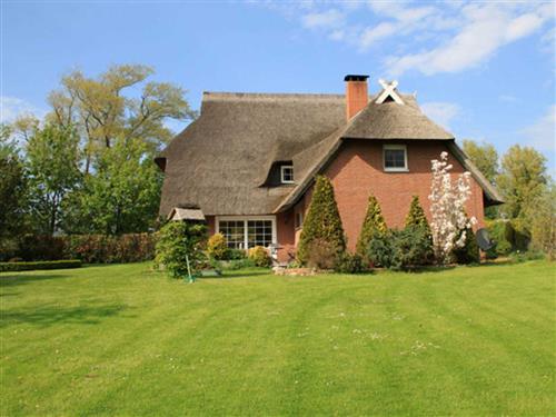 Ferieleilighet - 2 personer -  - Fulge - 18347 - Ahrenshoop