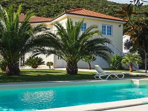 Holiday apartment - 2 persons -  - Luka - Peljesac-Trpanj - 20240 - Trpanj