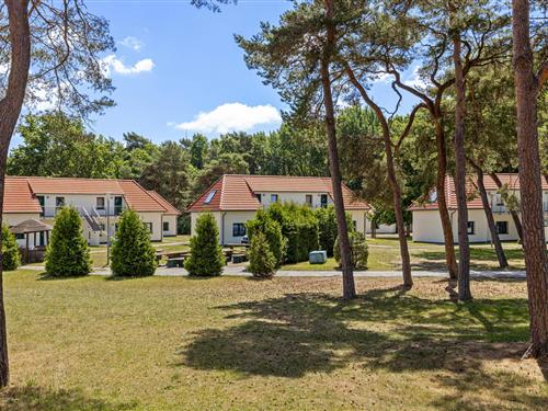 Ferielejlighed - 8 personer -  - Hinter der Düne - Ferienappartement - Juliusruh - 18556 - Altenkirchen