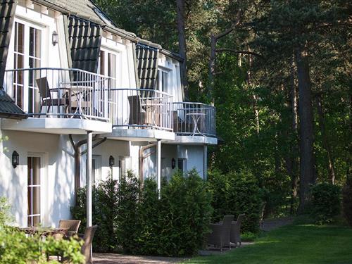 Ferielejlighed - 4 personer -  - Ernst-Moritz-Arndt-Straße - 18347 - Dierhagen