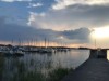 Billede 31