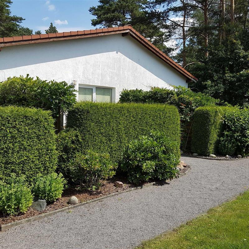 Ferielejlighed - 4 personer -  - Kiefernhain - 17213 - Fünfseen Ot Lenz-Süd