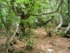 Bild 39 - Aussen