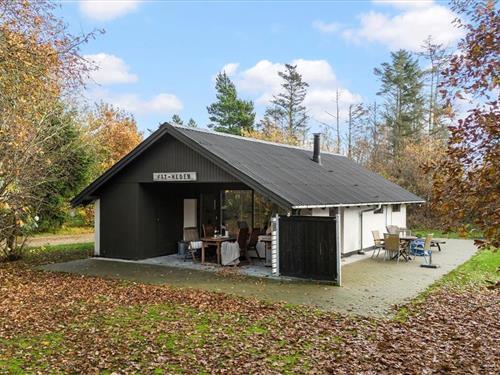 Ferienhaus - 6 Personen -  - Risbjergvej - Lodbjerg Hede - 6950 - Ringköbing
