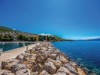 Billede 7
