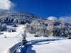 Bilde 10 - Ude
