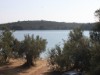 Bilde 26