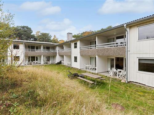 Holiday apartment - 4 persons -  - Sirenevej 2 st, - Dueodde - 3730 - Nexø