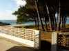 Bilde 27