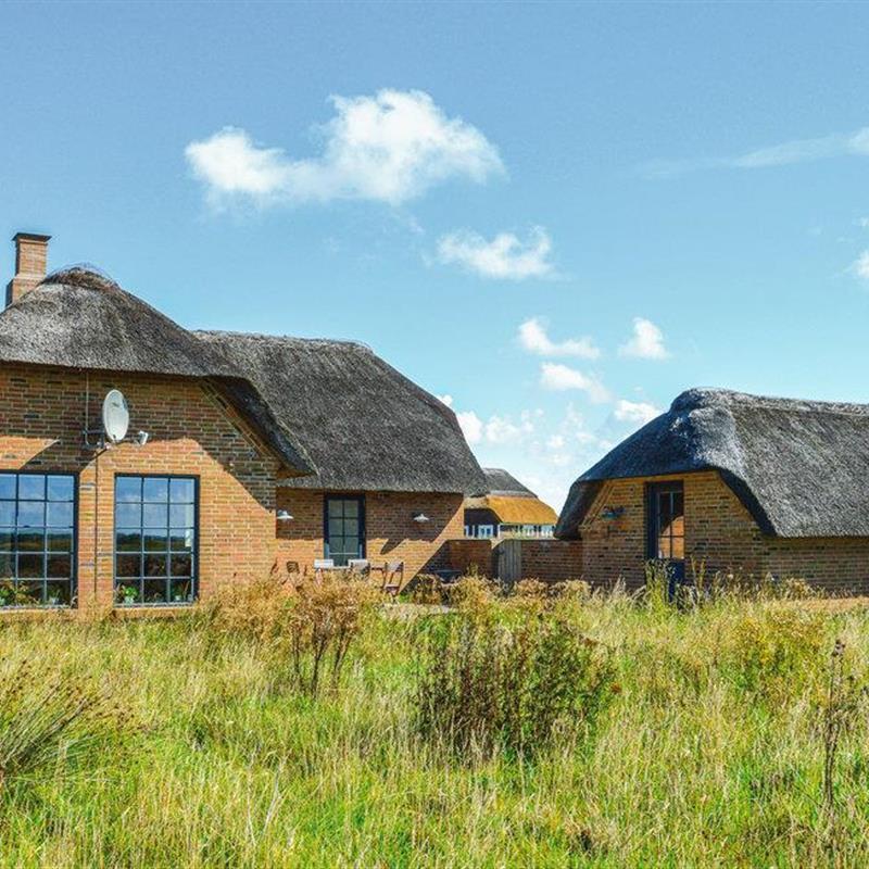 Sommerhus - 8 personer -  - Kornbjergvej - Vedersø Klit - 6990 - Ulfborg