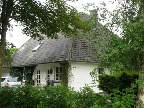 Ferienhaus - 2 Personen -  - Westerdorf - 24975 - Ausacker