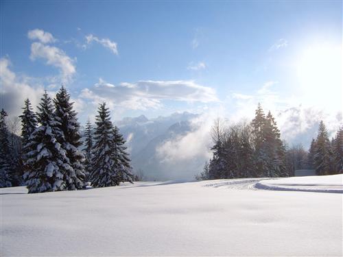 Bondegård - 5 personer -  - Pichlern - 4822 - Bad Goisern Am Hallstätte
