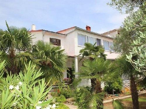 Holiday Home/Apartment - 1 person -  - 22211 - Vodice