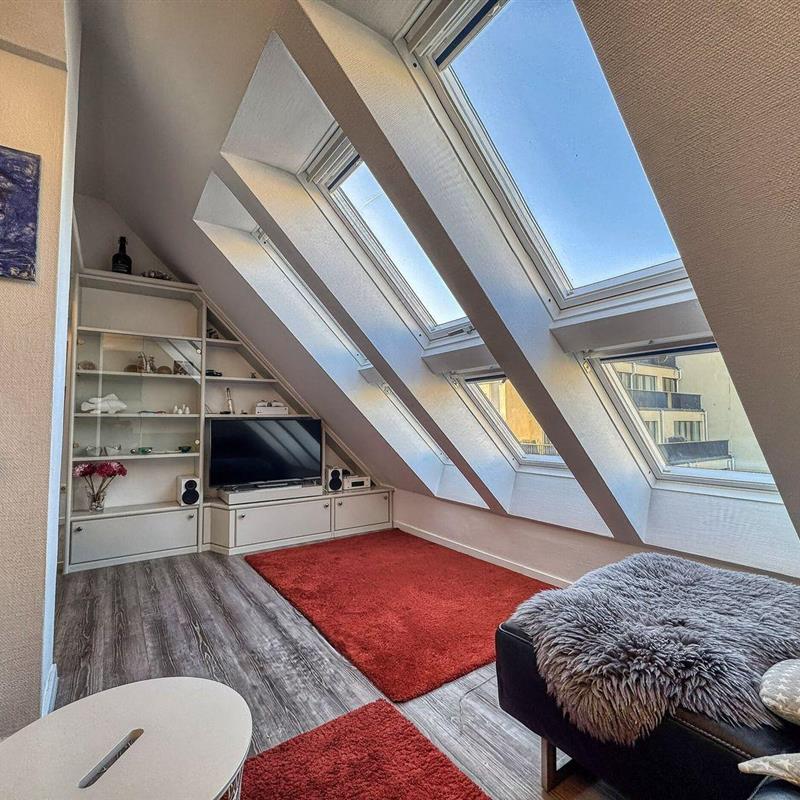 Ferielejlighed - 4 personer -  - Halemstraße - 26548 - Norderney