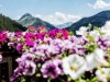 Bilde 17