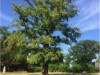 Billede 14