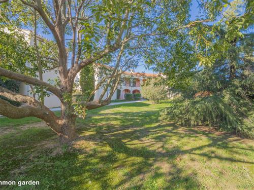 Ferienwohnung - 4 Personen -  - La Londe Les Maures - 83250