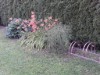 Bild 26 - Aussen