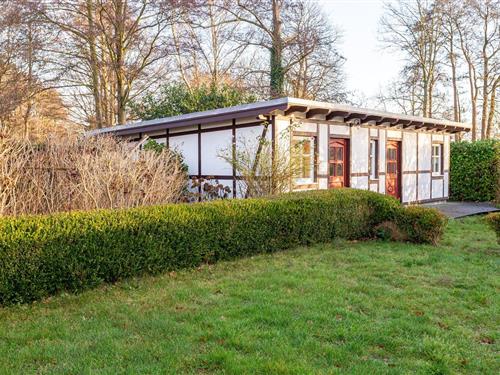 Ferieleilighet - 2 personer -  - Krabbenort - 18375 - Prerow