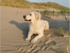 Bild 31