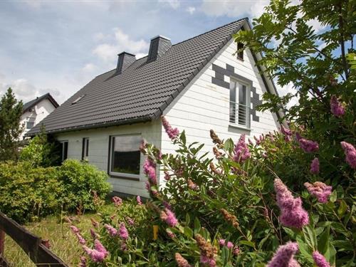 Holiday Home/Apartment - 10 persons -  - Grenzweg - 59955 - Winterberg