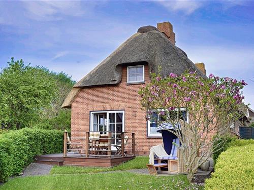 Sommerhus - 5 personer -  - Dorfstrasse - 25899 - Dagebüll