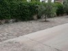 Billede 8