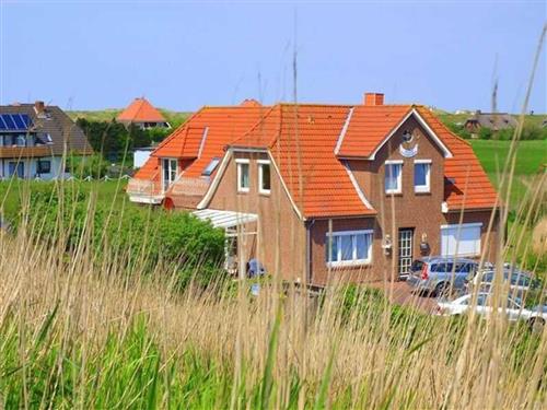 Feriehus / leilighet - 2 personer -  - Norderdeich - 25826 - St. Peter-Ording