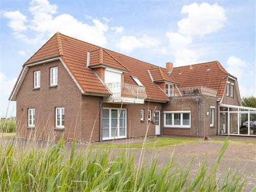 Ferielejlighed - 2 personer -  - Norderdeich - 25826 - St. Peter-Ording