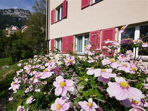 Holiday Home/Apartment - 4 persons -  - Amden - 8873
