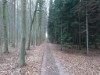 Bild 4 - Ude