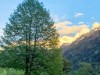 Bild 19 - Ude