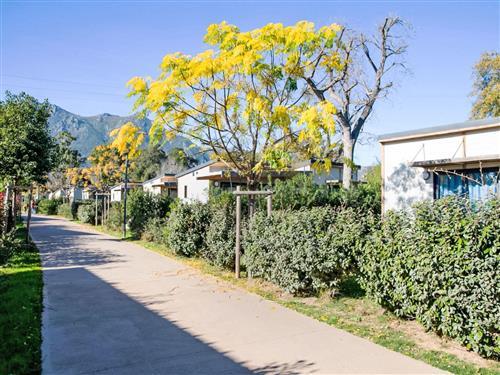 Holiday home - 5 persons -  - Santa Maria-Poggio - 20221