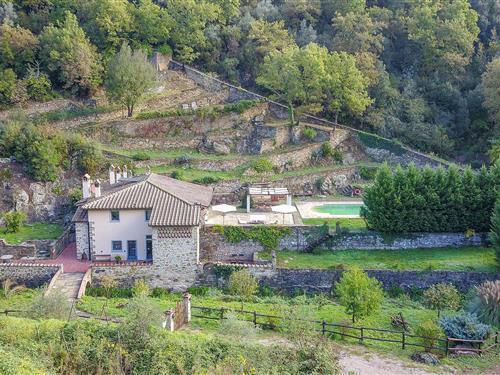 Holiday Home/Apartment - 8 persons -  - Località Cintoia Bassa - 50022 - Greve In Chianti