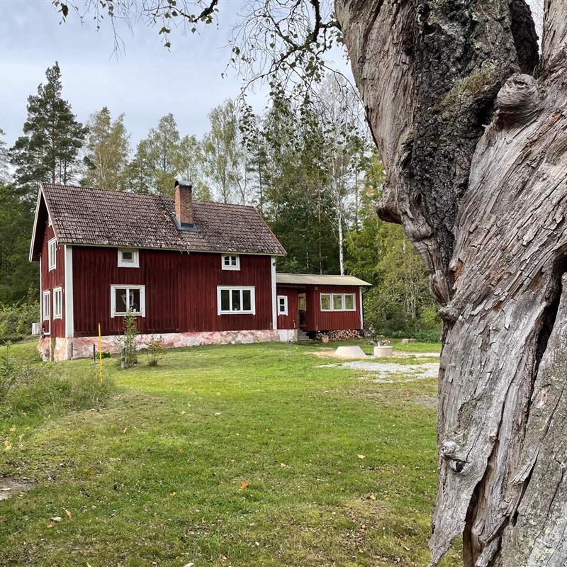  - 6 personer -  - Irevägen - 37492 - Asarum