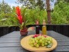 Billede 5 - Terrasse