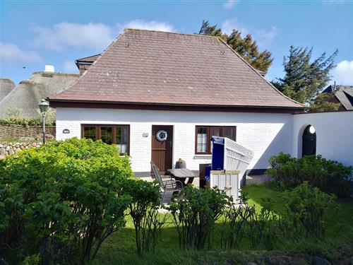 Ferielejlighed - 2 personer -  - Berthin-Bleeg-Straße - 25996 - Wenningstedt-Braderup (Sy