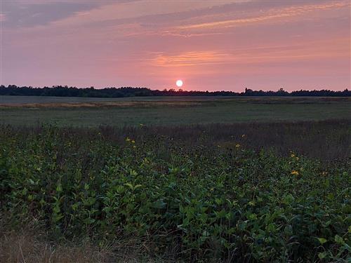 Feriehus - 6 personer -  - Dorfstr. - 17192 - Waren - Müritz
