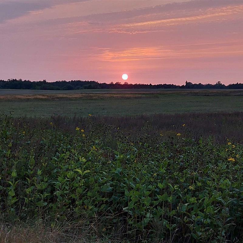 Sommerhus - 6 personer -  - Dorfstr. - 17192 - Waren - Müritz