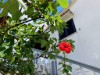 Image 24 - Outside