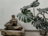 Bild 11 - Inde