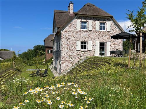 Sommerhus - 6 personer -  - Schlossallee - 18551 - Lohme