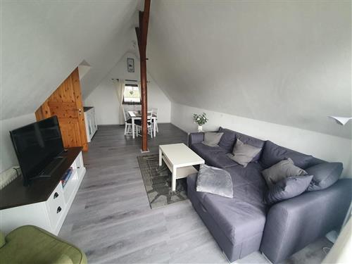 Ferienwohnung - 4 Personen -  - Stolkerfelder Straße - 24890 - Stolk